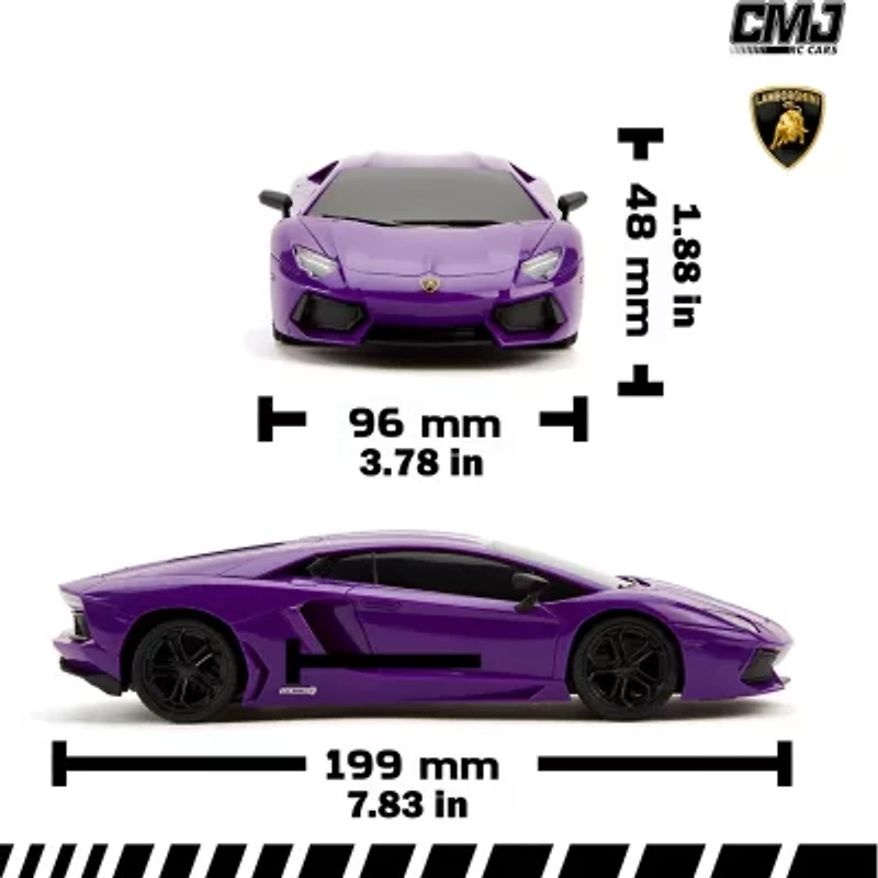 CMJ RC CARS 2-pc. Car