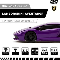 CMJ RC CARS 2-pc. Car