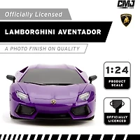 CMJ RC CARS 2-pc. Car