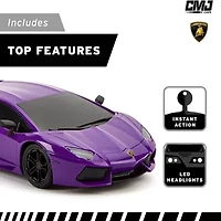 CMJ RC CARS 2-pc. Car