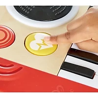 Hape Musical Instrument