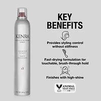 Kenra Professional Perfect Medium Hair Spray 10 oz.