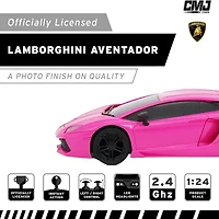 CMJ RC CARS 2-pc. Car