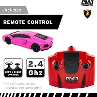 CMJ RC CARS 2-pc. Car