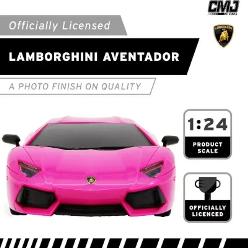 CMJ RC CARS 2-pc. Car