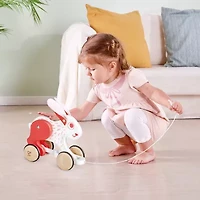 Hape Not Applicable Discovery Toy