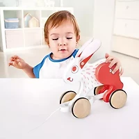Hape Not Applicable Discovery Toy