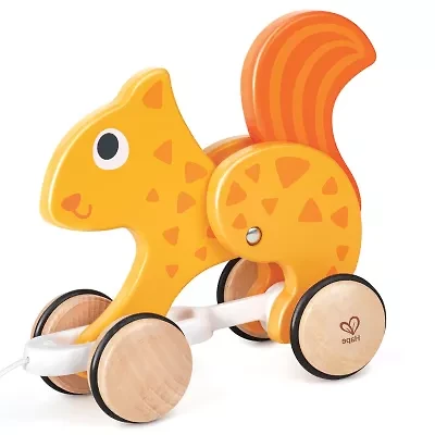 Hape Discovery Toy
