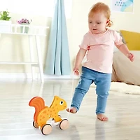 Hape Discovery Toy
