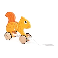 Hape Discovery Toy
