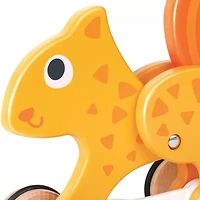 Hape Discovery Toy