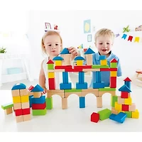 Hape 100-pc. Building Blocks