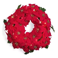 North Pole Trading Co. Red Poinsettia Wreath