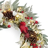 Martha Stewart Cardinal Wreath