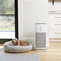 Cuisinart PuRXium Freestanding Air Purifier