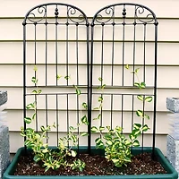 Net Health Shops Traditional Metal 2-pc. Garden Trellis