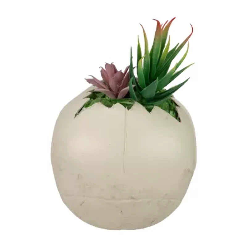 Northlight 8.75in Led Lighted Succulent Skull Lighted Halloween Tabletop Decor