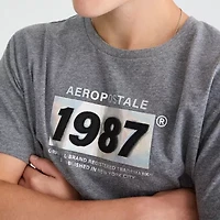 AEROPOSTALE Mens Crew Neck Regular Fit Graphic T-Shirt