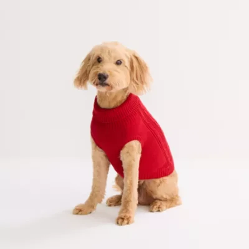 St. Johns Bark Dog Sweater