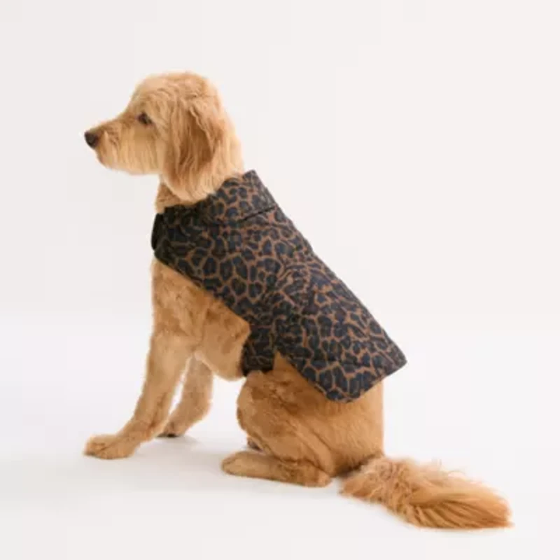 St. Johns Bark Animal Dog Coat