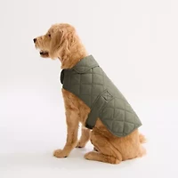 St. Johns Bark Animal Dog Coat