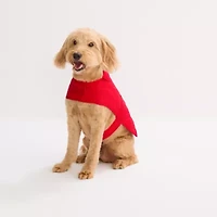 St. Johns Bark Animal Dog Coat