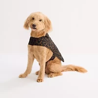 St. Johns Bark Animal Dog Coat