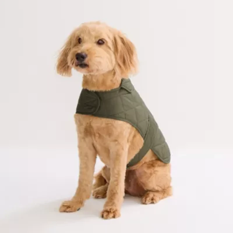 St. Johns Bark Animal Dog Coat