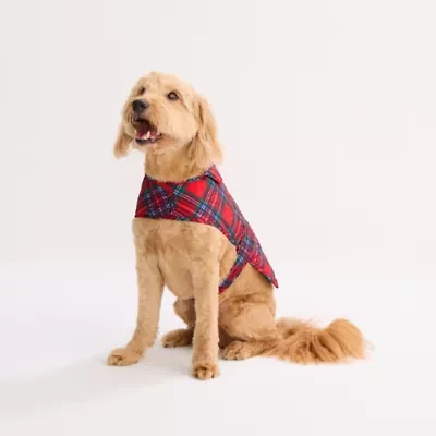St. Johns Bark Animal Dog Coat