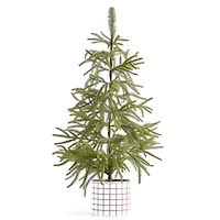 Martha Stewart 26in Christmas Tabletop Tree