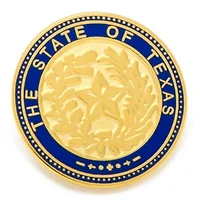 Lapel Pin