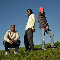 Levi's® Mens 527™ Slim Fit Bootcut Jean