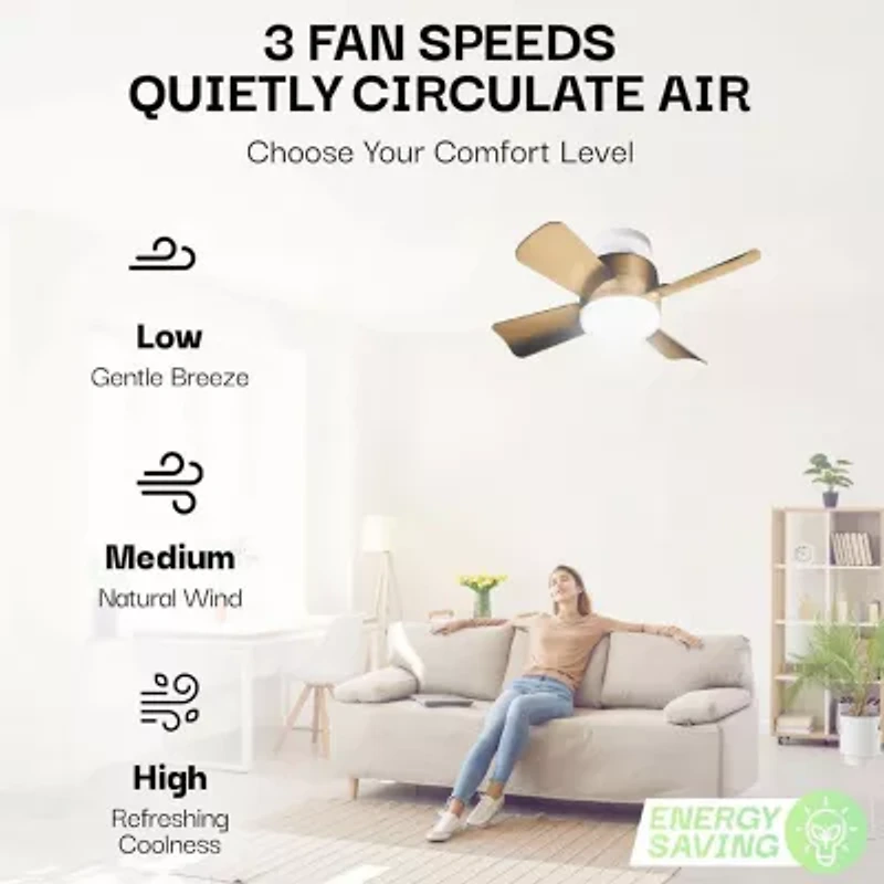 Bell + Howell Socket With Warm Lighting And Remote Control 1000 Lumens Ceiling Fan