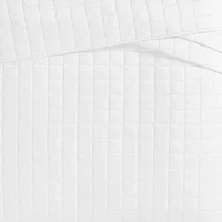 The Farmhouse By Rachel Ashwell Ruffled Washed Quilt Set
