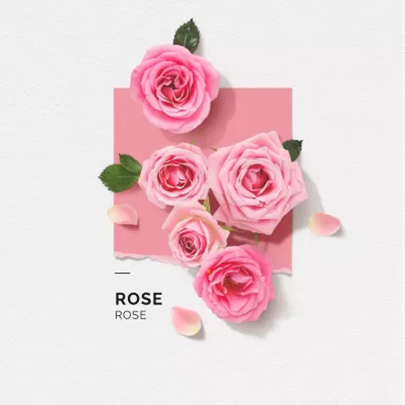 Solinotes Rose Eau De Parfum