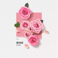 Solinotes Rose Eau De Parfum