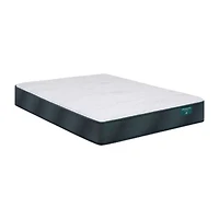 Beautyrest Harmony Beachfront Bay 11.5" Medium Tight Top - Mattress Only