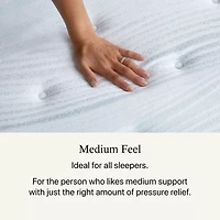 Beautyrest Harmony Beachfront Bay 11.5" Medium Tight Top - Mattress Only