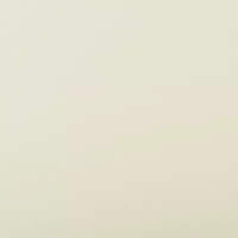 Archaeo Coralie Rod Pocket Sheer Single Curtain Panel