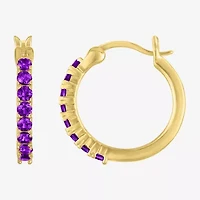 Womens Genuine Purple Amethyst 14K Gold Over Silver 16mm Round Hoop Earrings