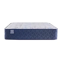 Sealy Wellmont 14.5" Medium Tight Top - Mattress Only