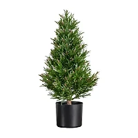 Nearly Natural 2ft. Green Rosemary Topiary