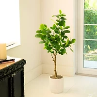 Nearly Natural 4ft. Green Audrey Ficus Artificial Tree