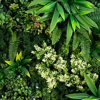 Nearly Natural 20in. X 20in. Green Lighted Queensland Rainforest Wall Panel Artificial Plant
