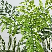 Nearly Natural 3.5ft. Green Minimalist Jacaranda Artificial Plant