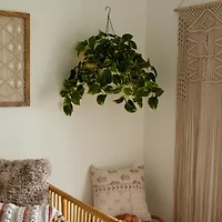 Nearly Natural 24in. Green Lighted Pothos Artificial Plant