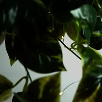 Nearly Natural 24in. Green Lighted Pothos Artificial Plant