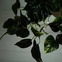 Nearly Natural 24in. Green Lighted Pothos Artificial Plant