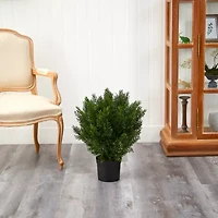 Nearly Natural 2ft. Green Cedar Artificial Plant