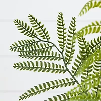 Nearly Natural 5ft. Green Minimalist Jacaranda Artificial Plant